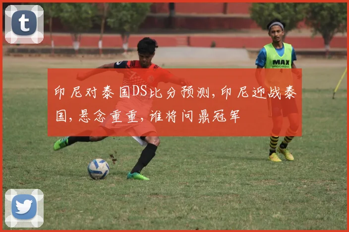 印尼对泰国DS比分预测,印尼迎战泰国,悬念重重,谁将问鼎冠军