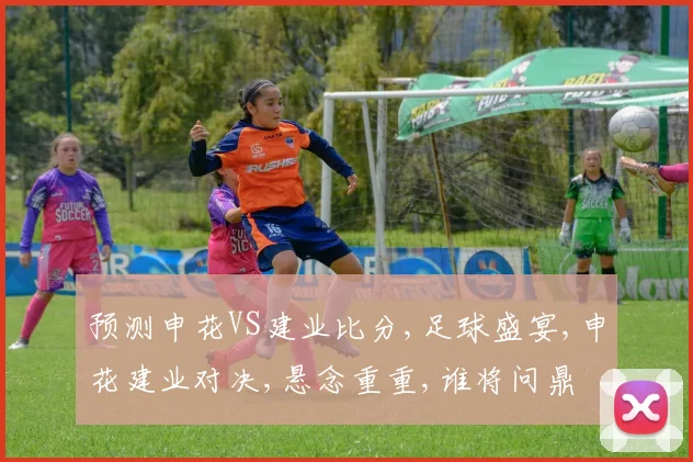 预测申花VS建业比分,足球盛宴,申花建业对决,悬念重重,谁将问鼎