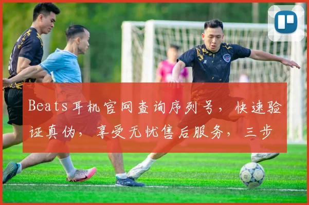 Beats耳机官网查询序列号，快速验证真伪，享受无忧售后服务，三步搞定
